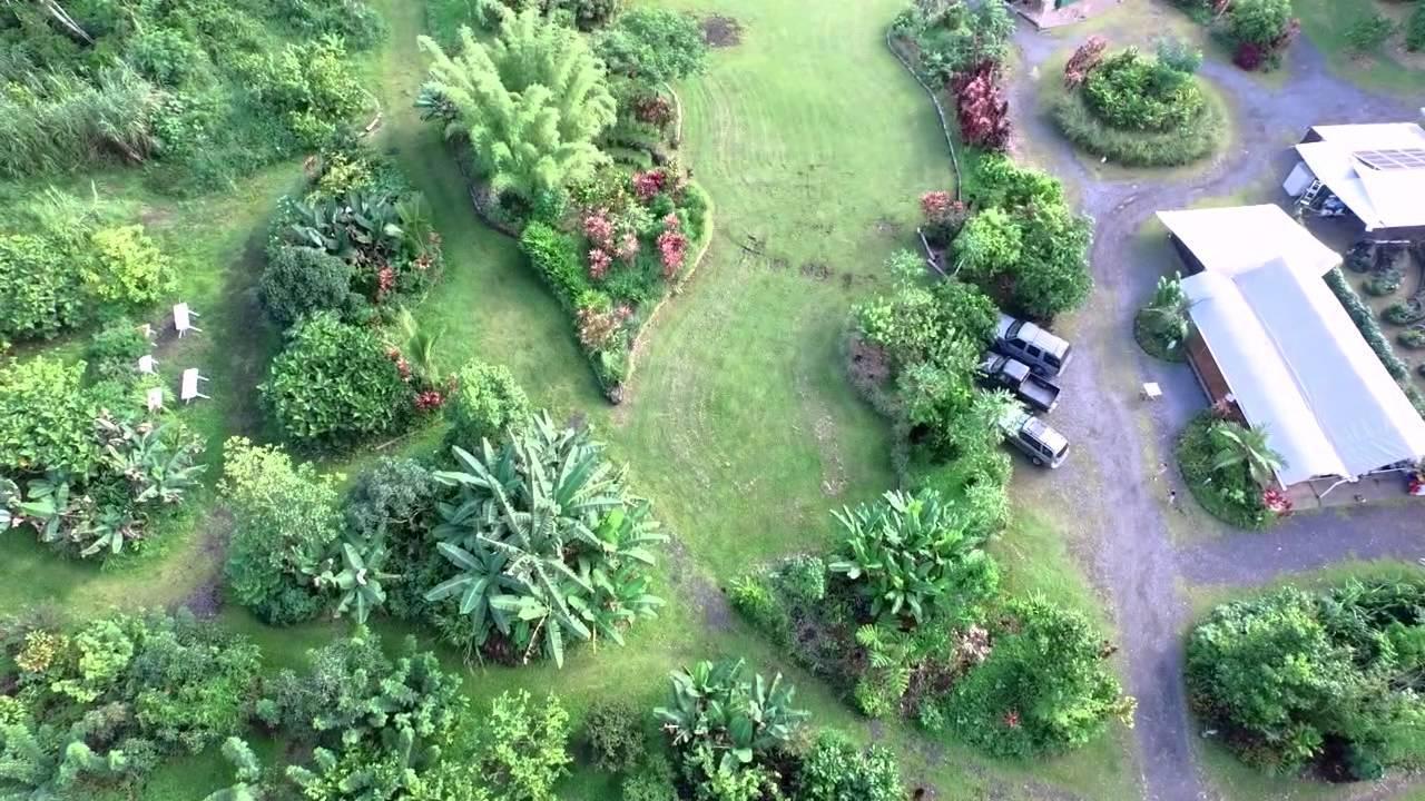 Hawaiian Sanctuary Eco Retreat Center Villa Pahoa Екстериор снимка