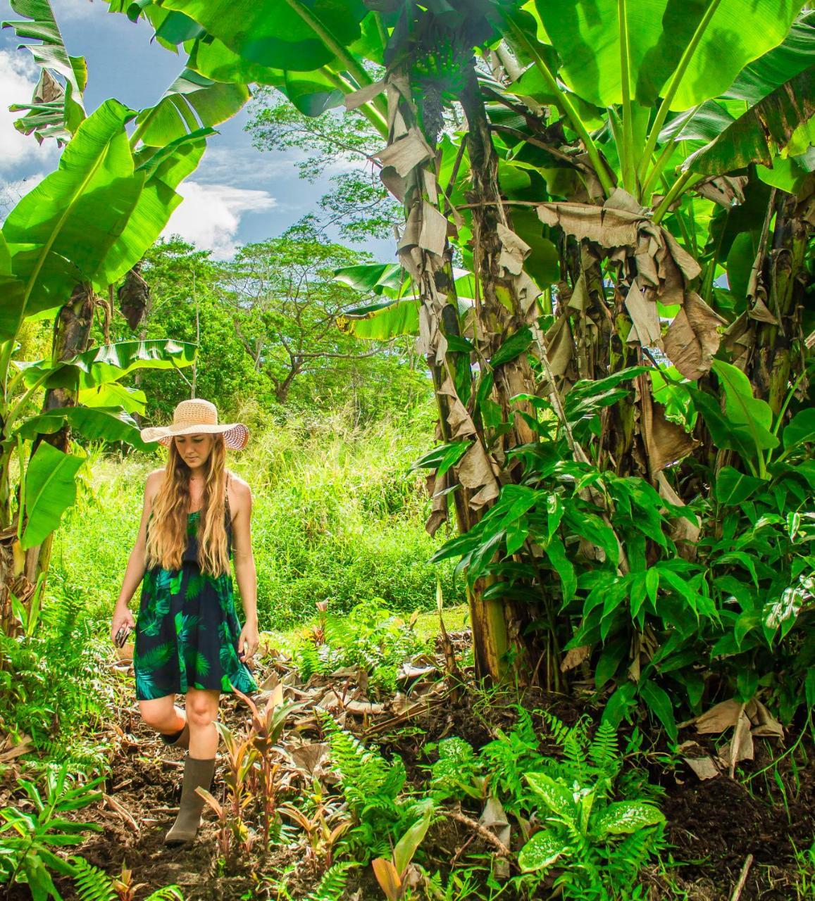 Hawaiian Sanctuary Eco Retreat Center Villa Pahoa Екстериор снимка
