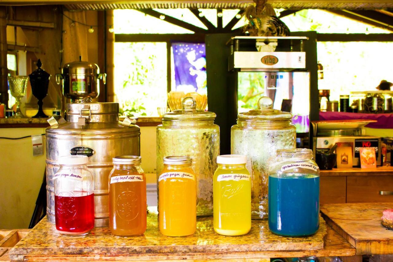 Hawaiian Sanctuary Eco Retreat Center Villa Pahoa Екстериор снимка