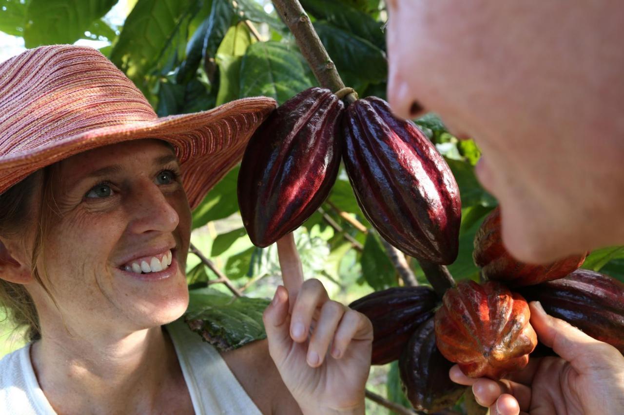Hawaiian Sanctuary Eco Retreat Center Villa Pahoa Екстериор снимка